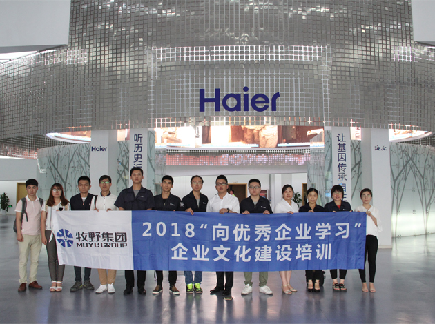 Haier training