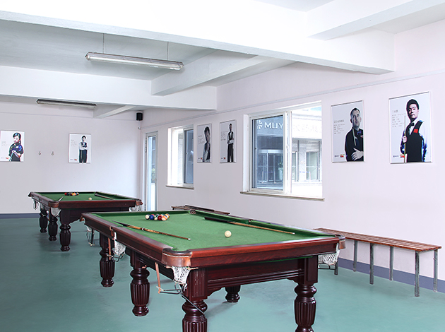 Billiards room