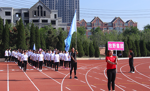 牧野集團獲河套街道第十四屆運動會企事業組第二名